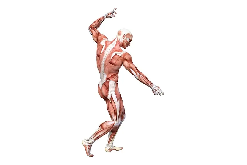 Health and Wellness Care in El Paso, TX | Wardy Wellness