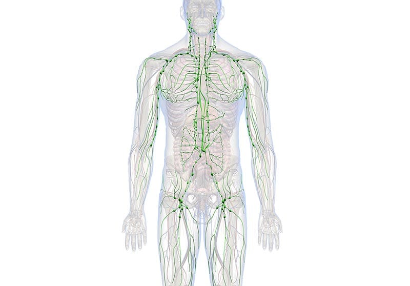 Lymph Mojo - Manual Lymphatic Drainage - Health and Wellness Care